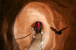 BIB: 
                            <button type="button" onclick="openModal(26241801)" class="btn btn-primary btn-sm float-right btn-popup" data-toggle="modal" data-target=".modal-high-quality">
                        <i class="fas fa-shopping-cart"></i> Add to Cart
                    </button>
                                            <button type="button" onclick="isThisMe(26241801, true)" class="btn btn-success btn-sm float-right btn-popup btn-isme hidden" data-toggle="tooltip" data-placement="bottom" title="นี่คือรูปของคุณใช่ไหม คลิกที่นี่เพื่อเอาเข้าอัลบั้ม">
                        <i class="fas fa-plus"></i> Add to album
                    </button>
                    <button type="button" onclick="isThisMe(26241801, false)" class="btn btn-warning btn-sm float-right btn-popup btn-isnotme hidden">
                        <i class="fas fa-ban"></i> Remove from album
                    </button>